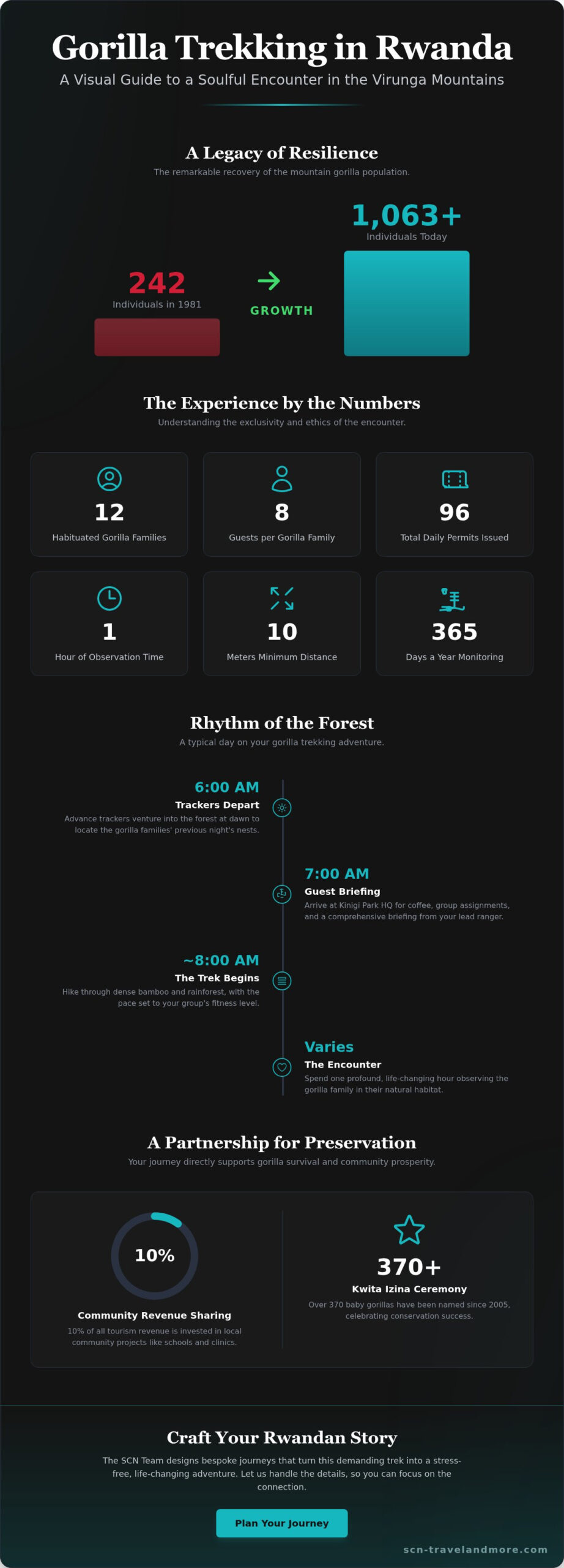 Gorilla Trekking in Rwanda: A Soulful Guide to the Ultimate Primate Encounter in 2026